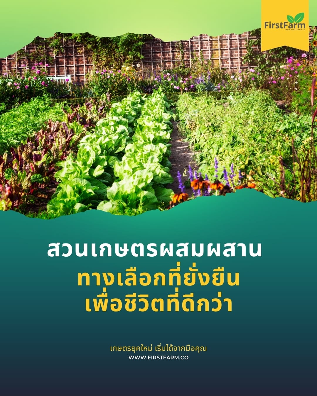 สวนเกษตรผสมผสาน: ทางเลือกที่ยั่งยืน เพื่อชีวิตที่ดีกว่า