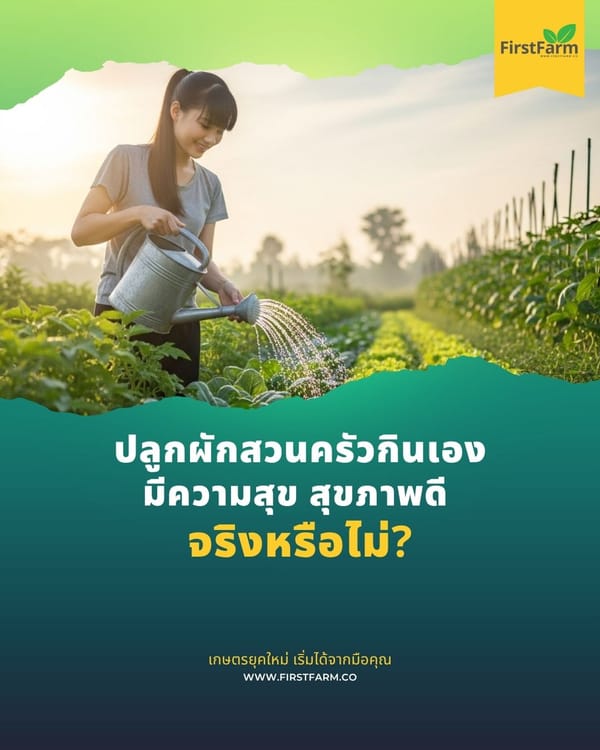 ปลูกผักกินเอง สุขภาพดี มีความสุข