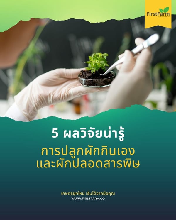 5 ผลวิจัยน่ารู้เกี่ยวกับการปลูกผักกินเองและผักปลอดสารพิษ