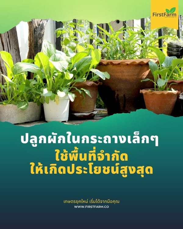 เทคนิคการใช้พื้นที่จำกัดให้เกิดประโยชน์สูงสุด