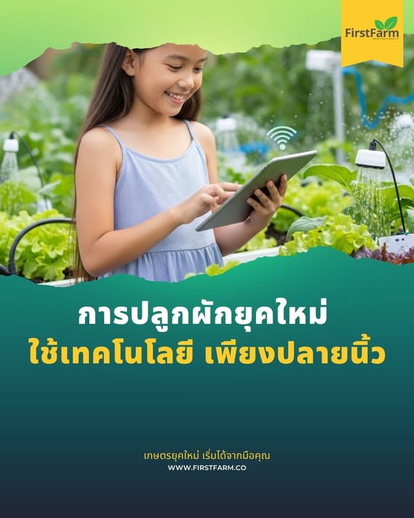การปลูกผักยุคใหม่ ใช้เทคโนโลยี เพียงปลายนิ้ว