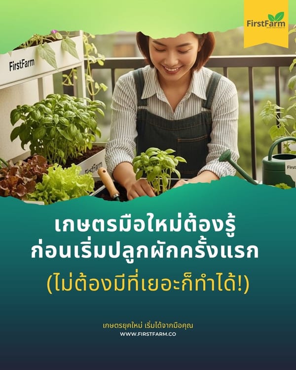 เกษตรมือใหม่ต้องรู้ ก่อนเริ่มปลูกผักครั้งแรก (ไม่ต้องมีที่เยอะก็ทำได้!)