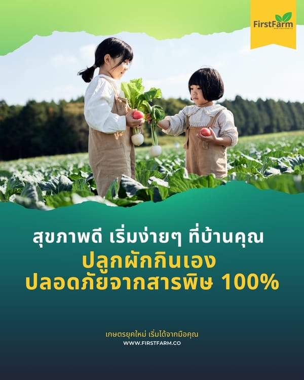 สุขภาพดี เริ่มต้นง่ายๆ ที่บ้านคุณ: ปลูกผักกินเอง ปลอดภัยจากสารพิษ 100%