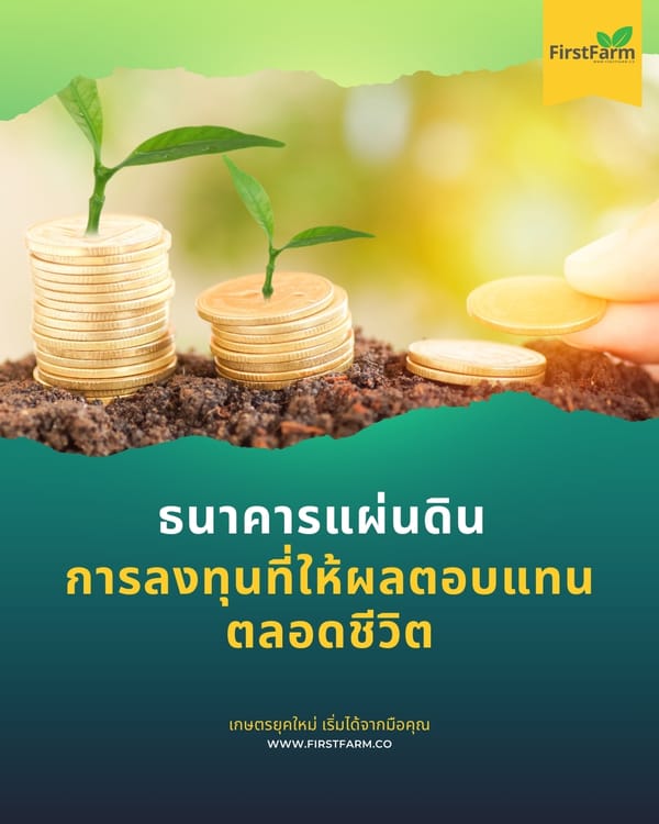 ธนาคารแผ่นดิน: การลงทุนที่ให้ผลตอบแทนตลอดชีวิต