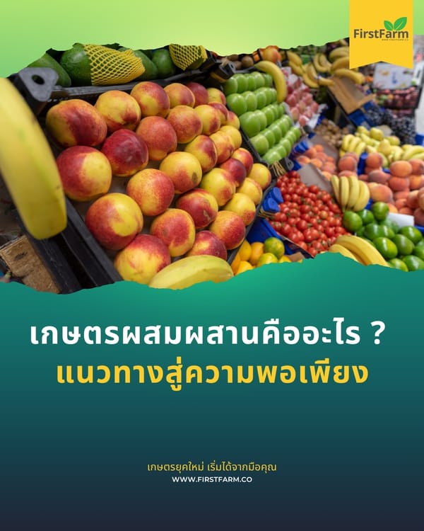 เกษตรผสมผสานคืออะไร? แนวทางสู่ความพอเพียงและความมั่นคงทางอาหาร