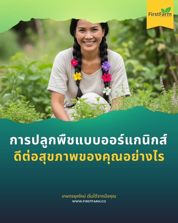 การปลูกพืชแบบออร์แกนิกส์: ดีต่อสุขภาพของคุณอย่างไร